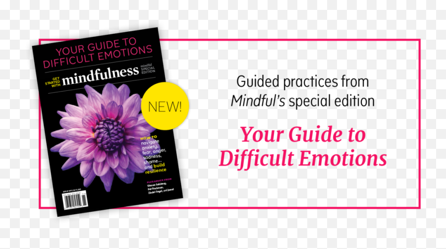 Guide To Difficult Emotions - Language Emoji,Thomas The Train Emotions