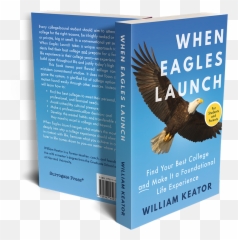 Huge Silver Lining To Covid - Bald Eagle Emoji,The Emotions Of Eagles