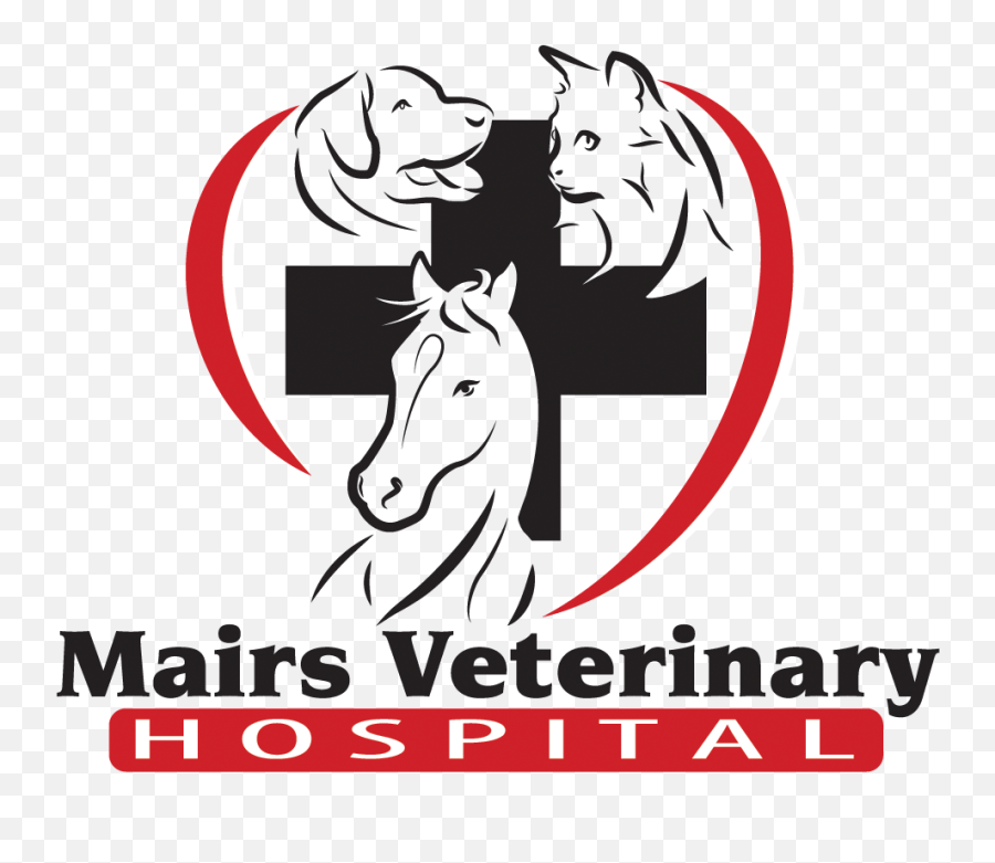Mairs Veterinary Hospital - Veterinarian In Wooster Oh Us Language Emoji,Gerbil Tail Emotions