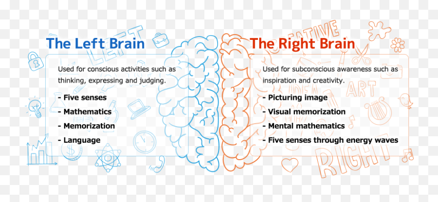 Early Childhood Education Canada Shichida Canada - Language Emoji,Left Brain Right Brain Emotion