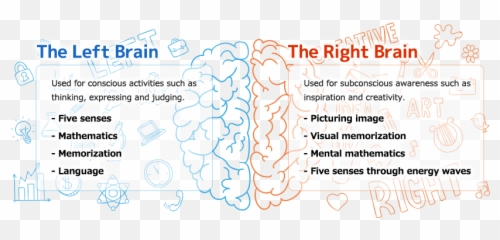 Early Childhood Education Canada Shichida Canada - Language Emoji,Left Brain Right Brain Emotion