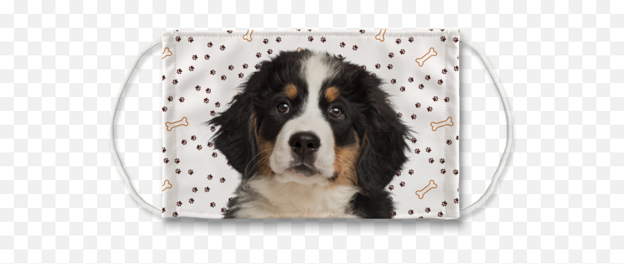 Bernese Mountain Dog - Grand Forks Pet Store Emoji,Caucasian Mountain Shepherd Puppy Emoticon