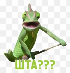 Telegram Sticker From Tca Pack Emoji,Chamelon Emoji