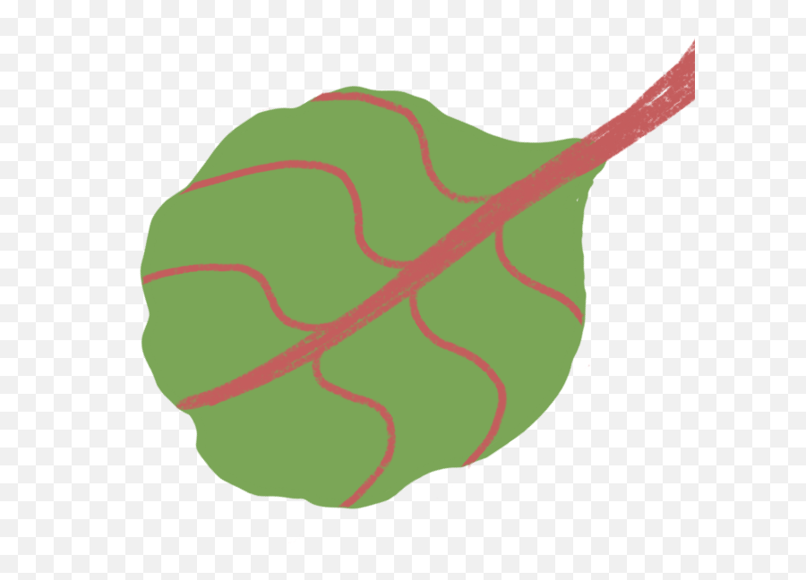 Bird Of Paradise Plant Care Guide Emoji,Leaf In Wind Emoji