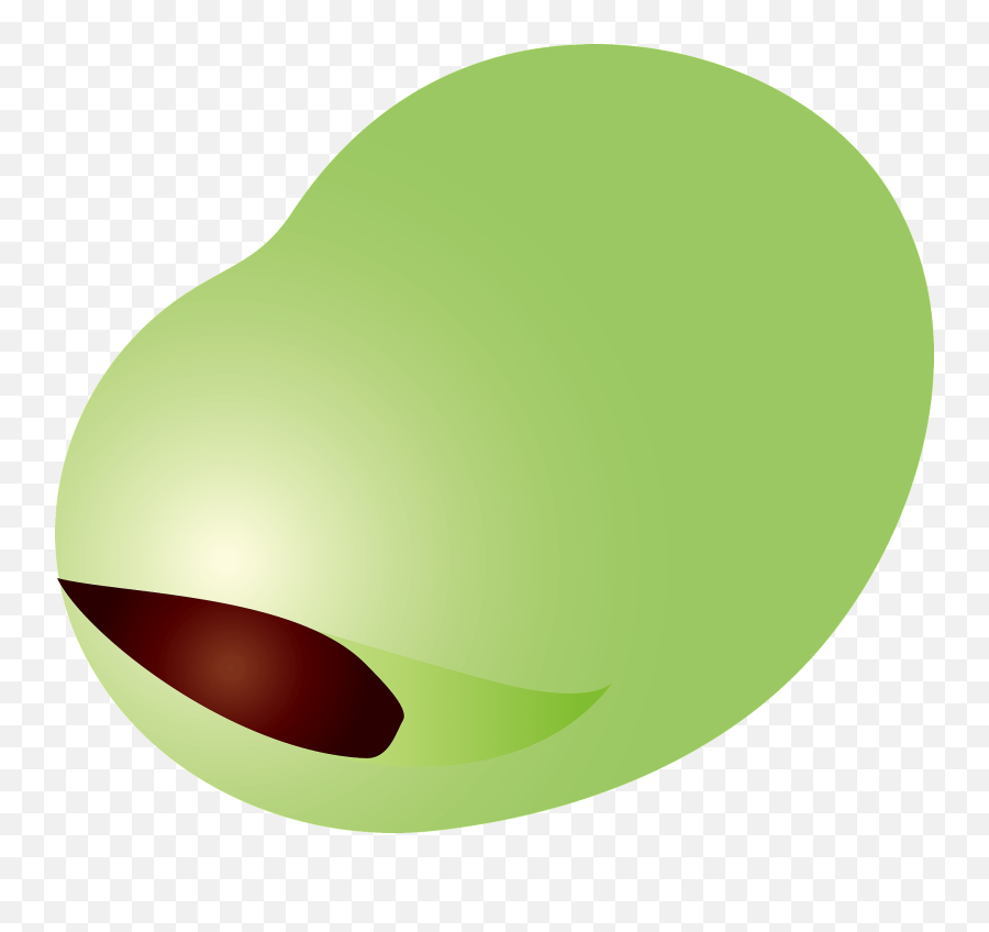 Broad Bean Vegetable Clipart - Broad Bean Seed Clip Art Emoji,Green Bean Emoji