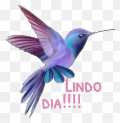 Figurinhas De Bom Dia Para Whatsapp - Coisa Linda Figurinha Linda Emoji,Emoticon De Continencia