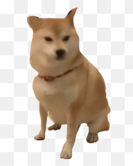 Melmboys Shibe Shibenation Sticker - Northern Breed Group Emoji,Shibe Emoji