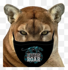 Textbooks - Mountain Lion Cougar Emoji,Yairi Howl Emotion