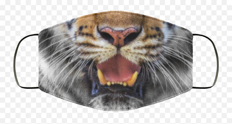 Tiger Mouth Face Mask Tiger Face Face Masks For Kids - Mask Emoji,Photographs Depicting Emotions