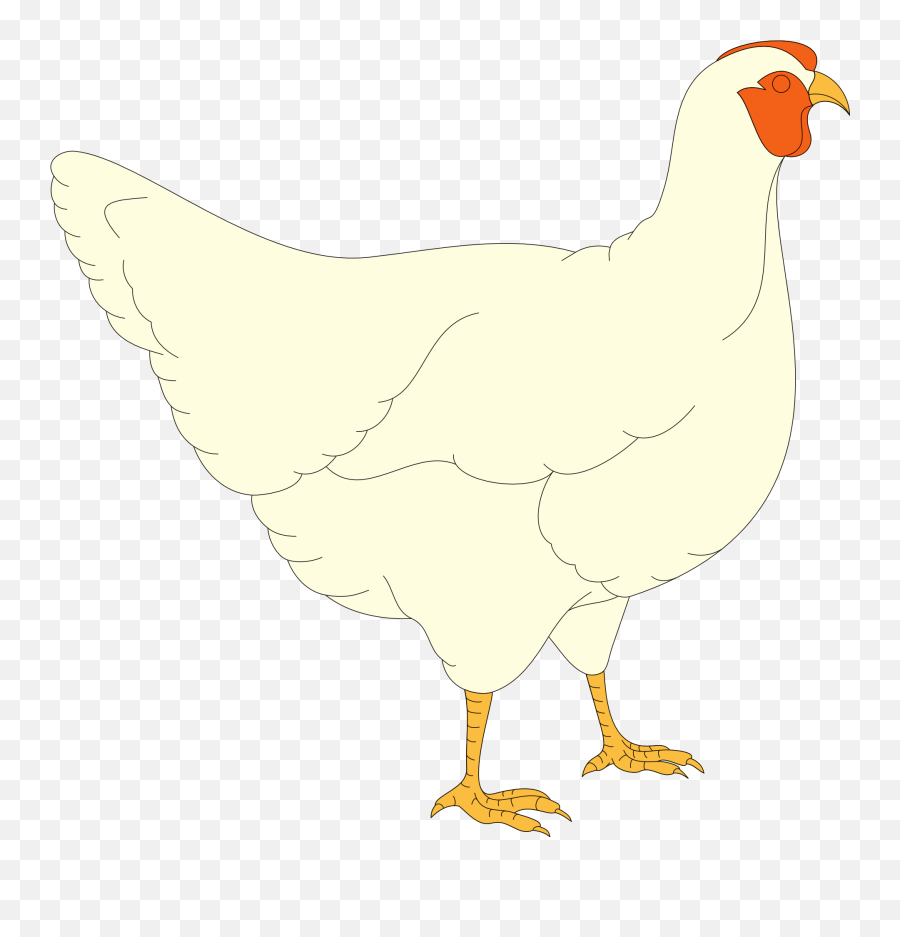 Hen Drawing Free Image Download Emoji,Facebook Emotions Chickens