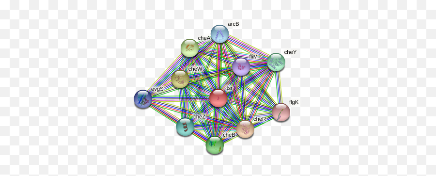 Tsr Protein Coli K12 - Dot Emoji,Cher New Emotion