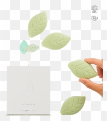 Organic Certified Leaf - Illustration Emoji,Emotions For Soaps