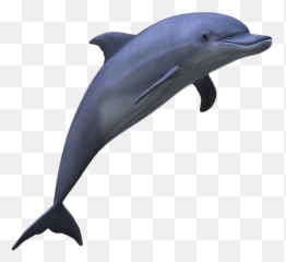 Voyage A Cuba By Risaastar On Emaze Emoji,Je Suis Excite Emoticon