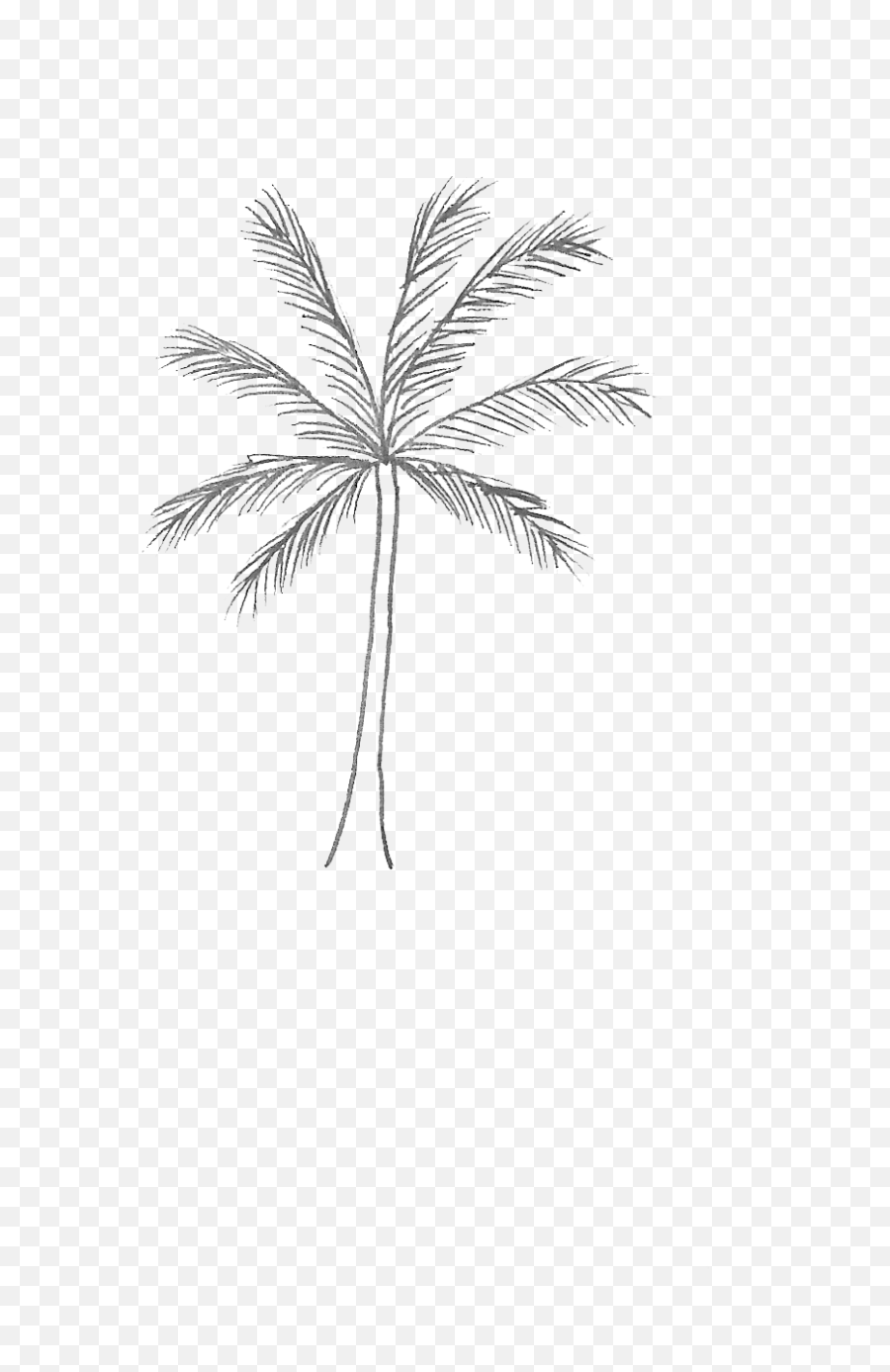 Palm Tree - Clip Art Library Emoji,Palm Tree Emoticon Facebook