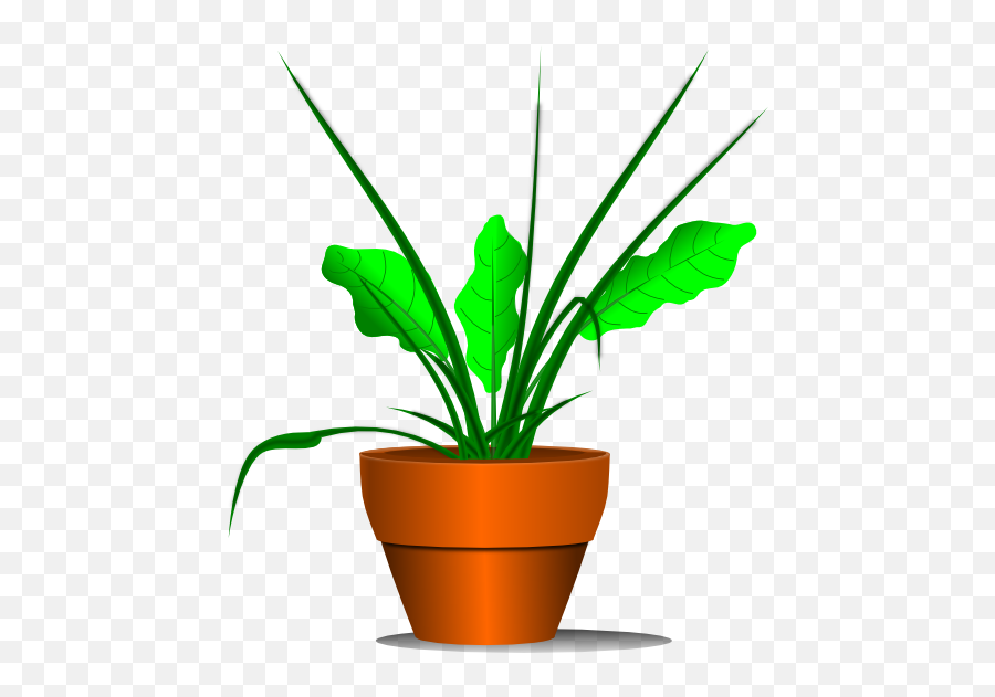 Transparent Cartoon Potted Plant - Plant Clipart Free Emoji,Potted Plant Emoji
