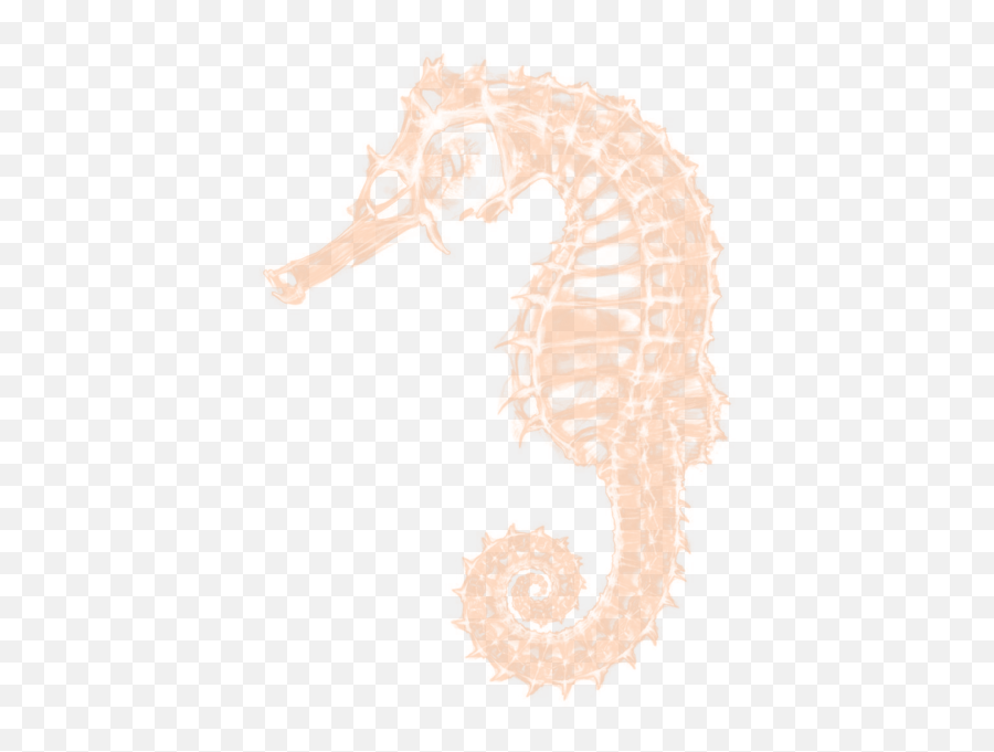 Sea Horse Psd Official Psds - Northern Seahorse Emoji,Seahorse Emoji