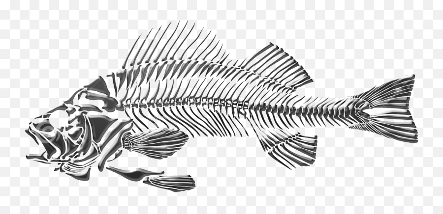 Download Bulb Drawing Fish - Fish Skeleton Png Full Size Emoji,Emoji Looks Like Skecleton