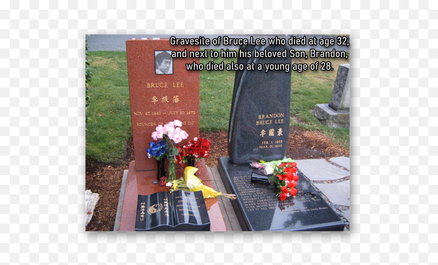 Could Jackie Chan Take Bruce Lee In - Bruce And Brandon Gravesite Emoji,Emotions Can Be The Enemy Bruce Lee