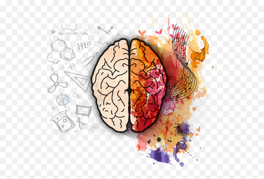 Bodymindmovement - Apple Left And Right Brain Emoji,Human Brain Diagram Emotions