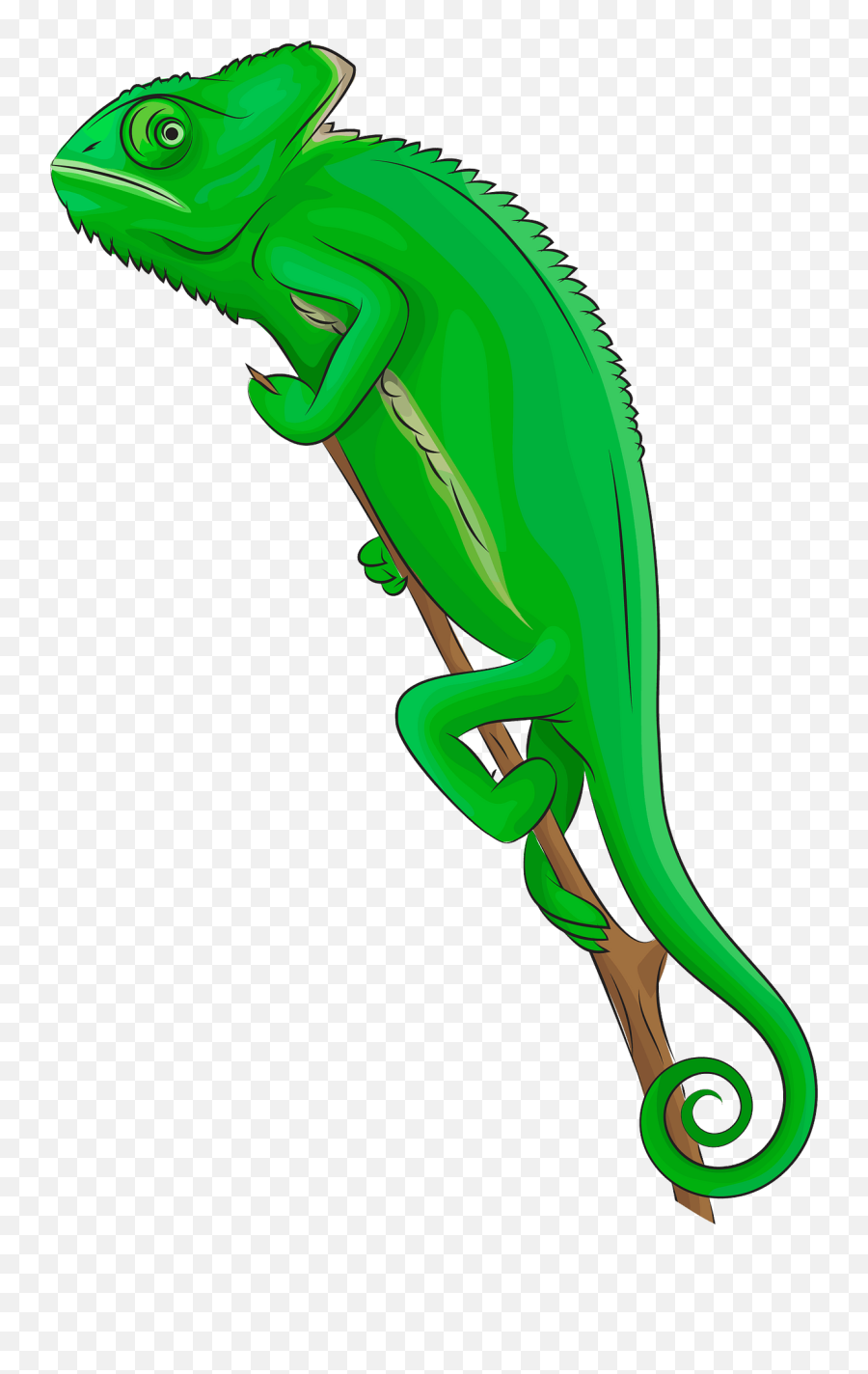 Veiled Chameleon Clipart - Chameleon Clipart Emoji,Chameleon Emoji