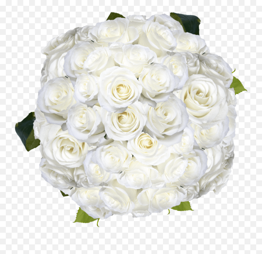 White Roses To Send For Valentineu0027s Day - Wedding Ceremony Supply Emoji,Flowers Emotions Sheet Music