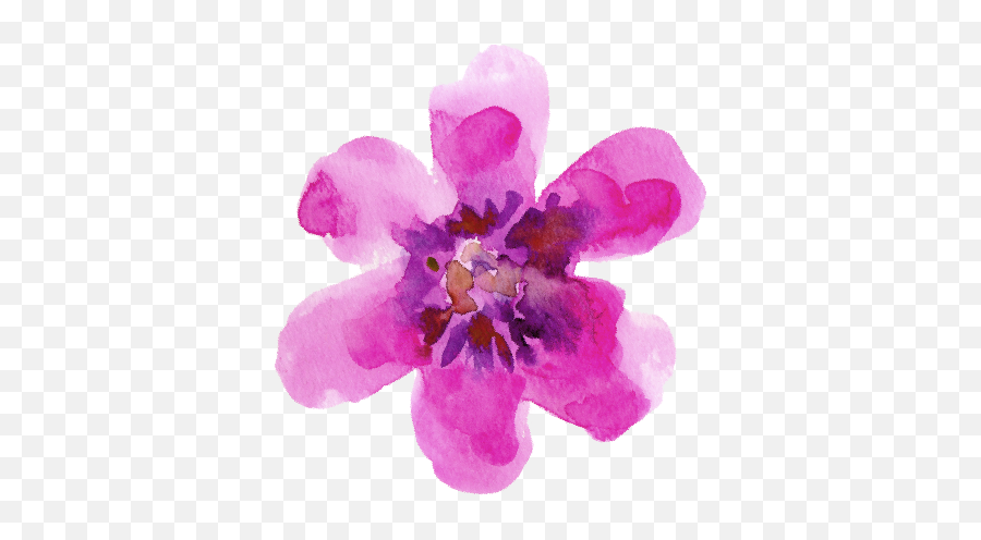 Spring Reboot Nourished Body And Mind Emoji,Sweet Emotion Sabotage Spring Reboot Nourished Body And Mind Emoji,Sweet Emotion Sabotage