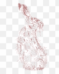 Proud To Present A Rural Inspired Brand For Ella Jenkins Emoji,Hare Emotion
