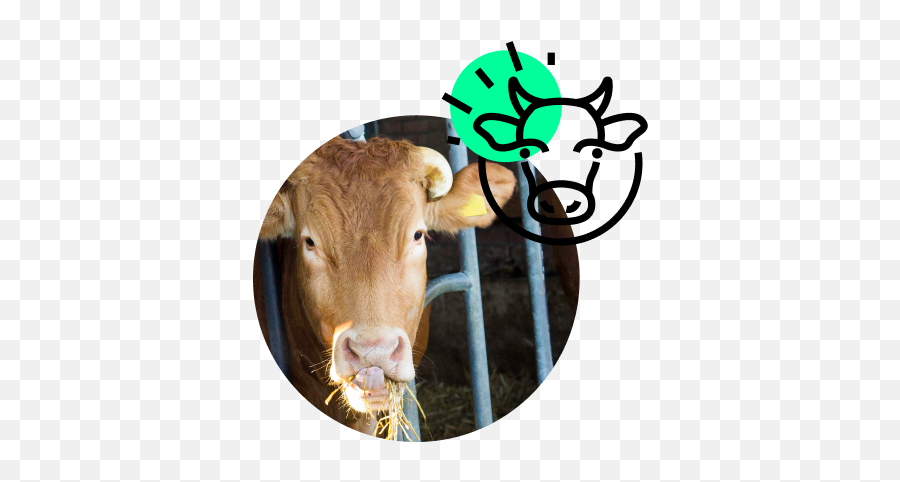 Mosa Meat Emoji,Cow Emoji