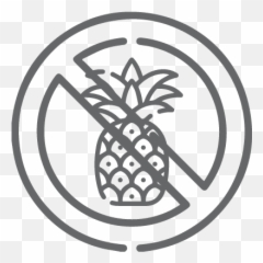 Slingshot Software And App Development Since 2005 Emoji,Pineapple Pineapple Ring Emoji