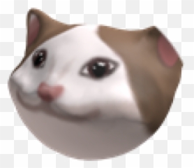 Pop Cat - Roblox Emoji,Cat Emoji Discord