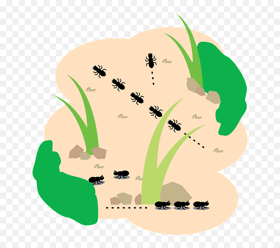 Ants In The Dirt Clipart Free Download Transparent Png - Art Emoji,Sleep Ant Ladybug Ant Emoji