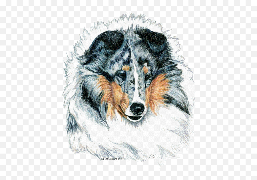 Bearded Collie Clip Art - Shetland Sheepdog Art Emoji,Sheltie Emoji