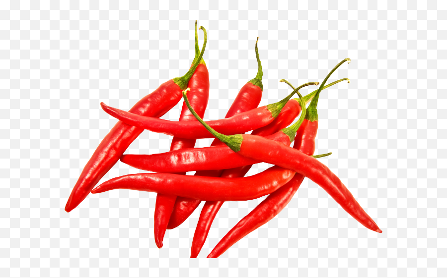 Chile Clipart Habanero Pepper - Chili Pepper Png Emoji,Jalapeno Emoji