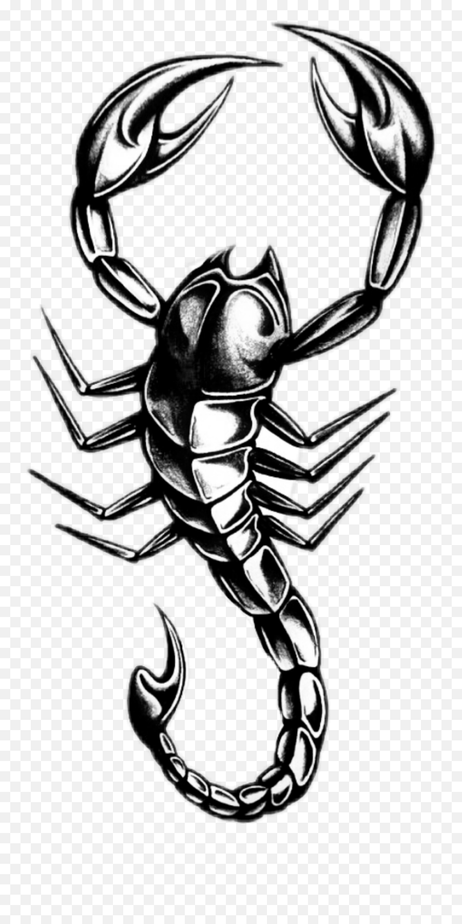 Scorpion Sticker - Realistic Scorpion Tattoo Designs Emoji,Scorpion Emoji