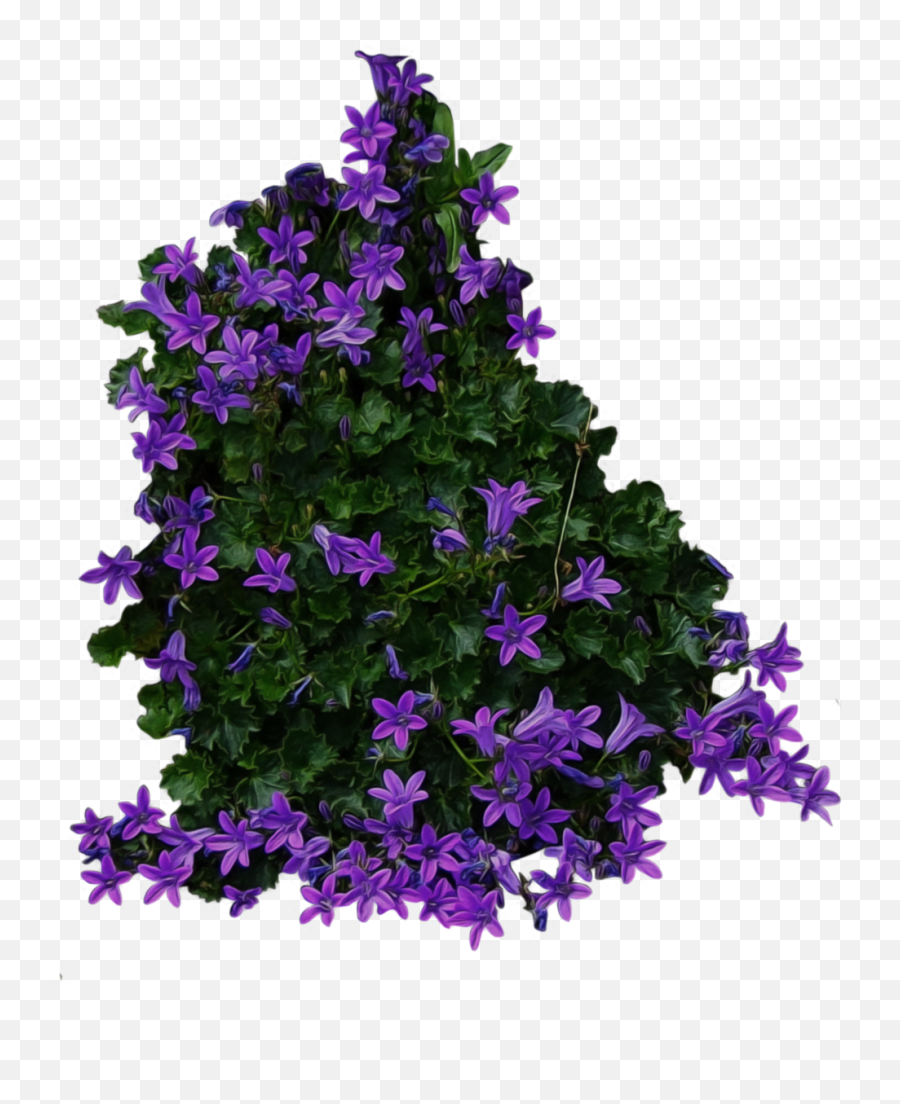 Purple Flowery Bushes Png Transparent Background Free - Flower Plants Png Top View Emoji,Flowery Emoticon