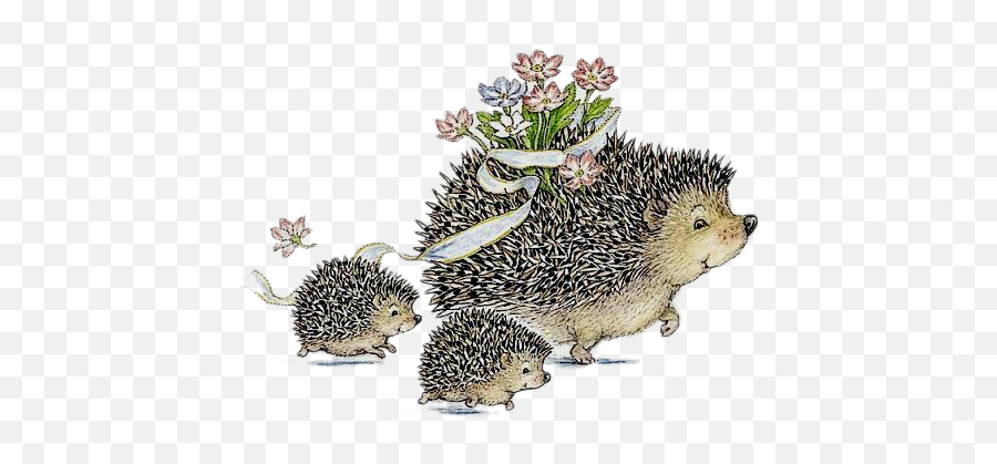 Hedgehog Hedgehogs Cute Sticker - Domesticated Hedgehog Emoji,Porcupine Emoji