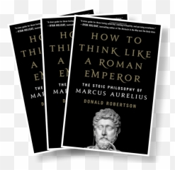Second Quarter 2019 - Hair Design Emoji,Marcus Aureliuis On Ctrolling Emotions