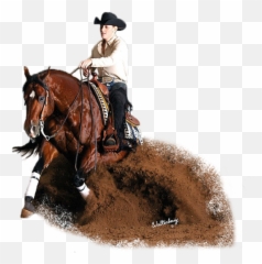 Stallion American Quarter Horse Bri Horse Western Free Emoji,Cowboy Hat Twitter Emoticon
