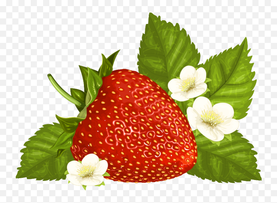 Strawberry Clip Art Free Clipart Images 4 Wikiclipart Emoji,Successful Berry Emoji