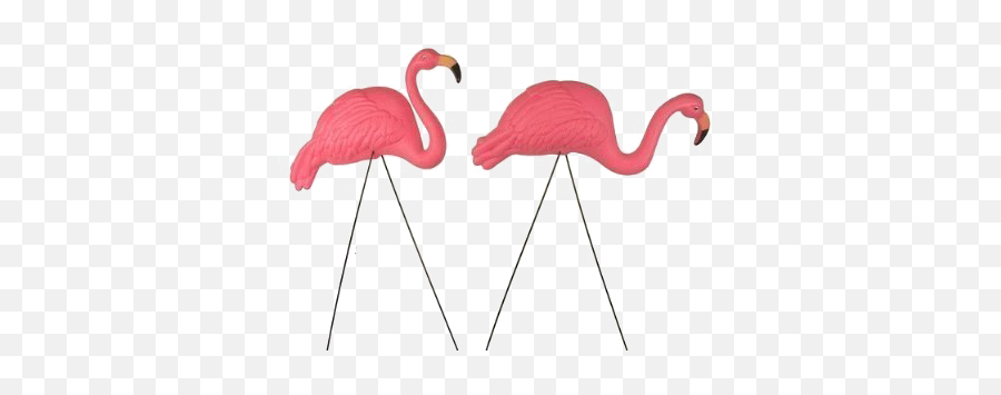Flamingo Png Transparent Image Png Arts Emoji,Flamingo Emojis Flamingo Png Transparent Image Png Arts Emoji,Flamingo Emojis