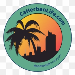 Home Caherbanlifecom Emoji,Palm Tree Youtube Emoji