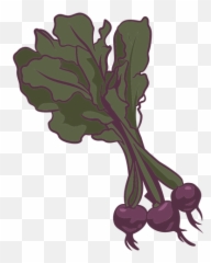 Vegetarian Png U0026 Svg Transparent Background To Download Emoji,Beatroot Emoji