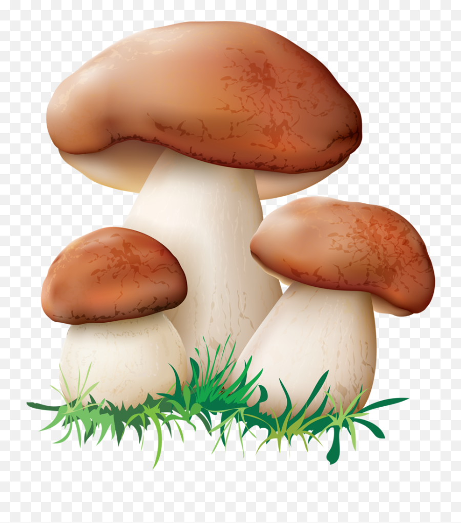Mushrooms Clipart Mushrooms - Mushroom Clipart Emoji,Mushroom Man Emoji