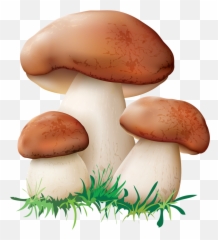 Mushrooms Clipart Mushrooms - Mushroom Clipart Emoji,Mushroom Man Emoji