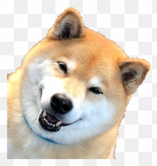 Shibainu Shibe Doge Kawaii Sticker Emoji,Shibe Emoji