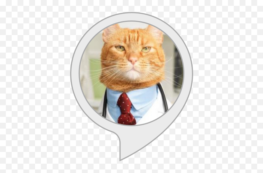 Alexa Skills - Doctor Cat Emoji,Relaxed Kitty Emoticon