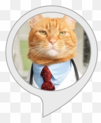 Alexa Skills - Doctor Cat Emoji,Relaxed Kitty Emoticon