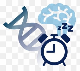 Sleep And Biological Rhythms - Cockfosters Tube Station Emoji,Biological Aspect Of Emotions And Diseases