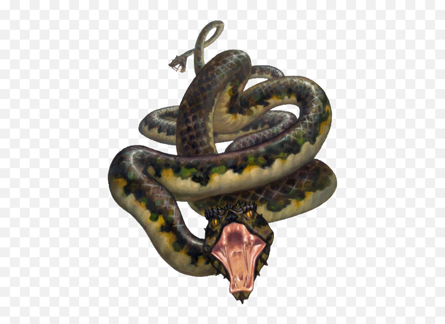 Kingmaker - Serpent Emoji,The Emotion Code Snake Oil