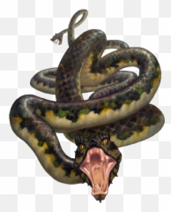Kingmaker - Serpent Emoji,The Emotion Code Snake Oil